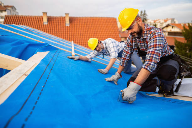 Best Roof Moss and Algae Removal  in Kewaskum, WI